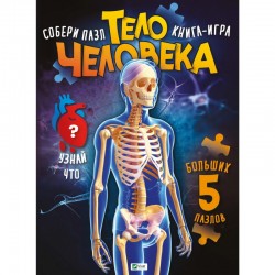 Тело человека